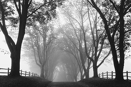 Highland Road in Fog, Albemarle County, VA